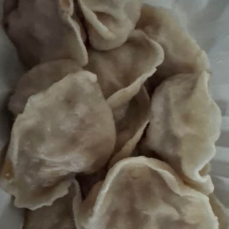 Savor Our Dumpling Selection